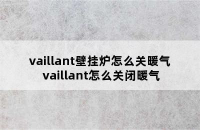 vaillant壁挂炉怎么关暖气 vaillant怎么关闭暖气